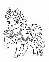 Coloring Pony Pages Pets Colorkid sketch template