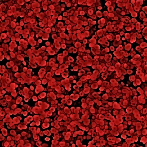excellent background image  red blood cells   microscope