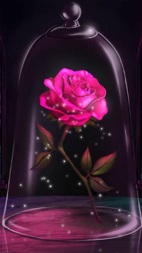 glass rose wallpaper  galaxylover    zedge