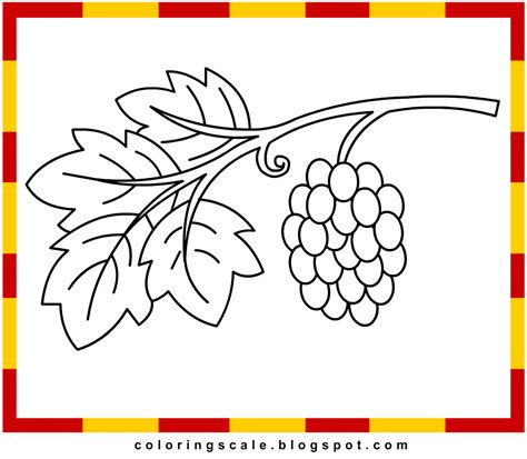 coloring pages printable  kids grapes coloring pages  kids
