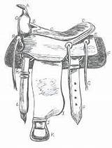 Horse Saddle Drawing Drawings Saddles Western Sketch Easy Draw Result Tack Pencil Cm Google sketch template