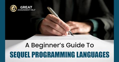 beginners guide  sequel programming languages