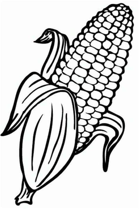 corn coloring pages printable  coloringfoldercom vegetable