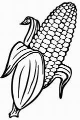 Corn Coloring Pages Pdf Printable Sweet Colouring Choose Board Printables Color sketch template