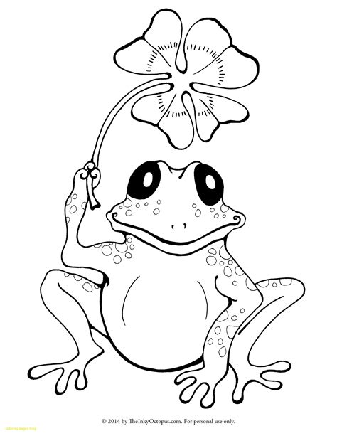 sweet frog coloring pages  getdrawings