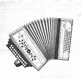 Accordion Drawn Hand Vector Preview sketch template