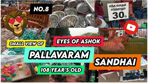 pallavaram sandhai small view  years  pallavaram eyes