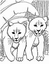 Kleurplaten Leeuwen Dieren Mewarnai Lions Leeuw Bobcat Lowen Singa Animasi Bergerak Animaatjes Leoni Stemmen Animate sketch template
