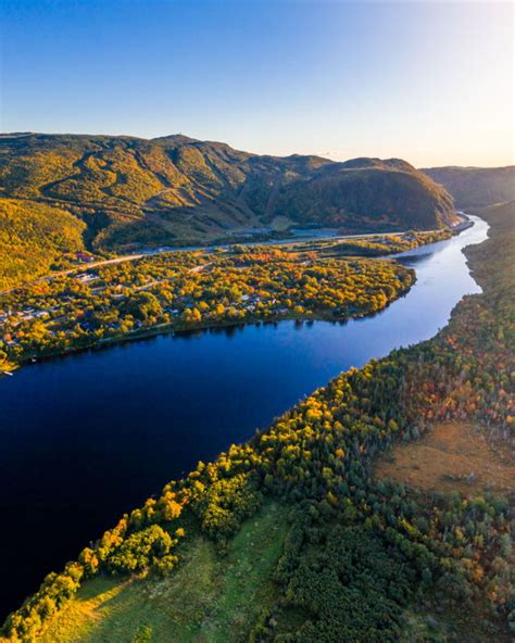 fall colours glow  steady brook tom cochrane market