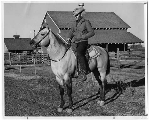 cowboy  horseback  portal  texas history