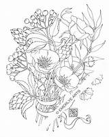 Coloring Pages Adult Flower Drawings Herb Printable Drawing Flowers Poppy Cynthia Emerlye Books Exotic Colouring Getdrawings Book Etsy Color Poppies sketch template