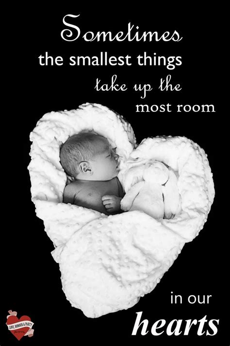 images  baby quotes  pinterest  boys baby quotes