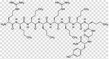 Endorphin Endorphins Oxytocin Peptide Neurotransmitter Hiclipart sketch template