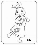 Rabbit Cottontail sketch template