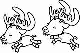 Coloring Pages Porcupine Clipart Library Caribou Trends sketch template