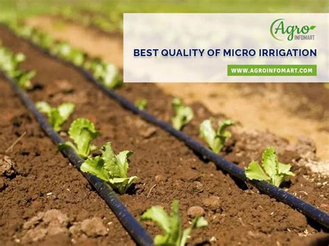 micro irrigation manufacturers exporters retailers and suppliers