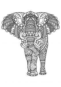 elephants coloring pages  adults