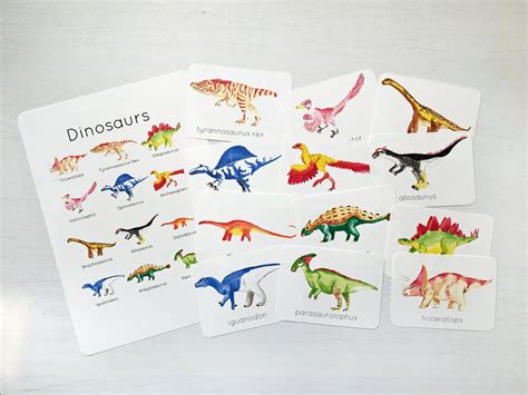 dinosaur flash cards printable learning resources flashcards