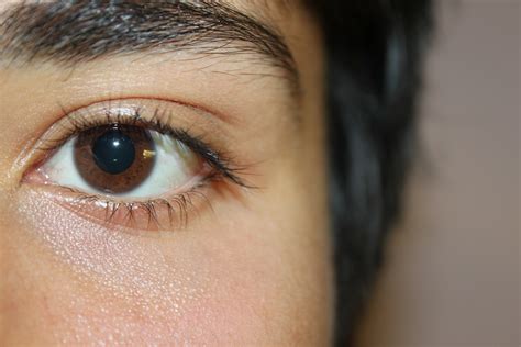 file a sample of brown eyes wikipedia