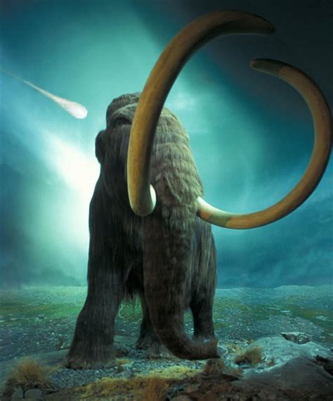 mammoth mammuthus  prehistoric elephant dinoanimalscom