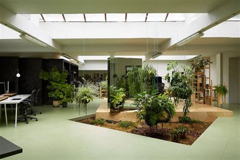 indoor garden ideas  green  home