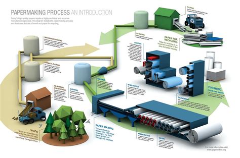 papermaking process infographic design components