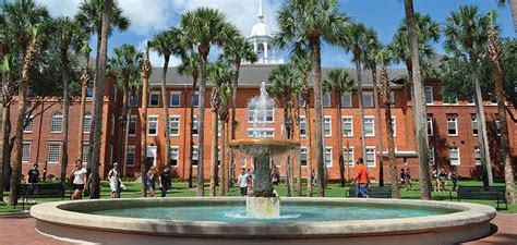 university  florida   place  acquire  degree heatfeed