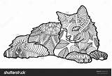 Coloring Cat Pages Adults sketch template