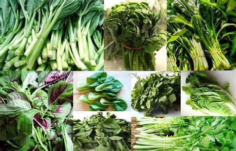 Chinese Vegetables Leafy Greens Chinese Vegetables Asian Vegetables