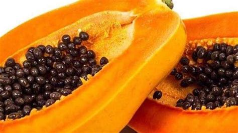 unbelievable health benefits  pawpaw seed health gadgetsng