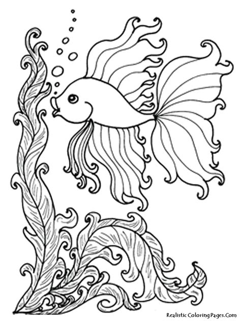 tropical fish coloring pages background colorist