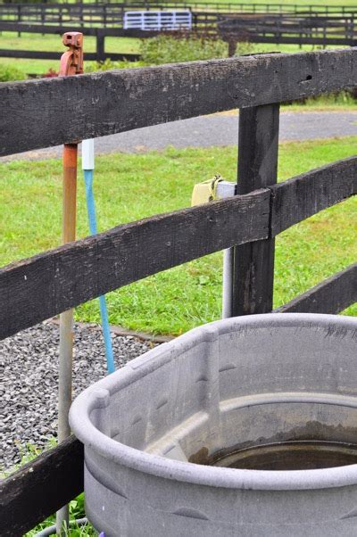 pro equine grooms   clean  water trough