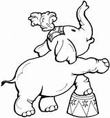 Elephant Circus Elephants Nitro Netart sketch template