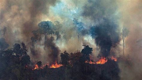 miljoen voor bestrijding bosbranden amazone rtlz