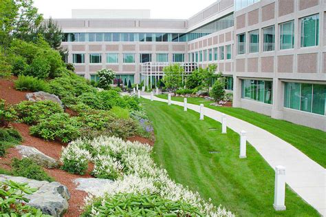 commercial landscaping tips commercial landscaping     safety  efficiency