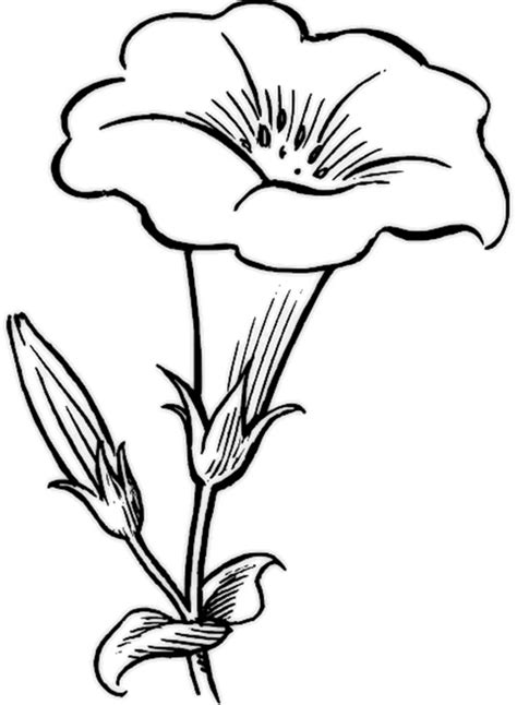 printable flower coloring pages  kids  paper flower note