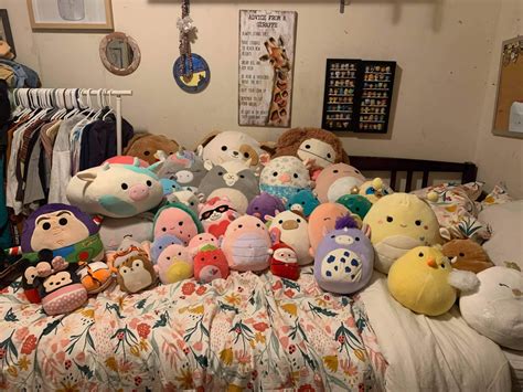 ‘these are super cute squishmallow fanfare surges in greeley