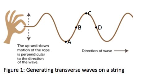 solved   transverse wave  figure    cheggcom