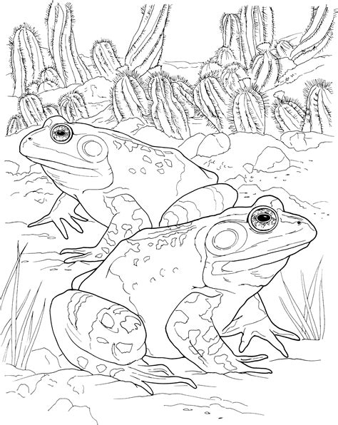 frog gif  frog coloring pages animal coloring pages