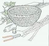 Basket Weaving Pine Needle Baskets Making Crafts Straw Needles Old Make Knowitall sketch template