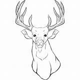 Coloring Pages Buck Deer Getcolorings Browning sketch template