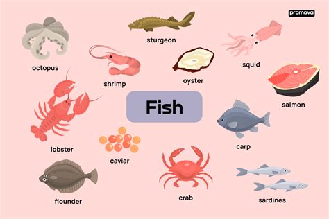 exploring types  fish   english vocabulary