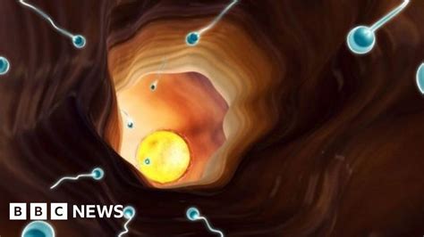 sperm count drop could make humans extinct bbc news