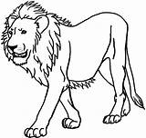 Lion Coloring Pages Clipart sketch template