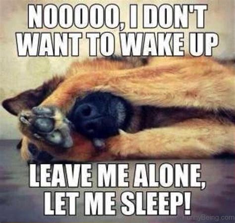 70 most awesome sleep memes all time best sleep memes