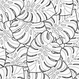 Schwarzweiss Blätter Bladeren Nahtloses Ikonen Nahtloser Grafisch Tropisch Naadloos Grafischen Tropischen Vergunning sketch template
