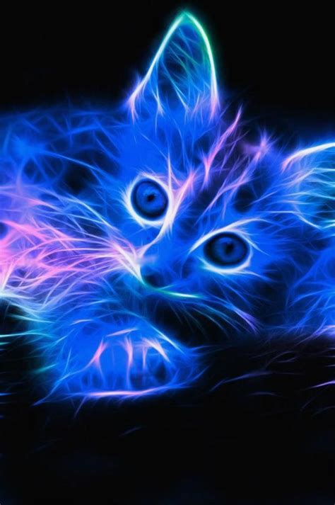 Neon Cat Photography 3d And Fractal Pinterest Warrior Cats To