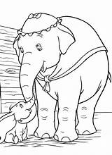 Dumbo Coloring Dibujos Elefante Disegni Malvorlagen Ausmalbild Colori Kostenlos Familie Letzte sketch template