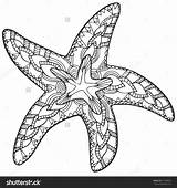 Starfish Zentangle Drawing Etoile sketch template