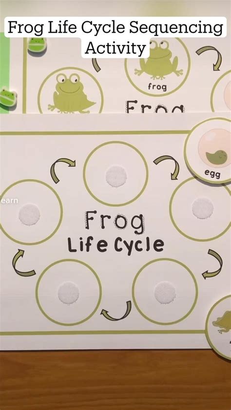frog life cycle sequencing activity sequencing activities early